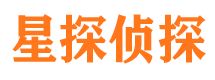 东乡族侦探